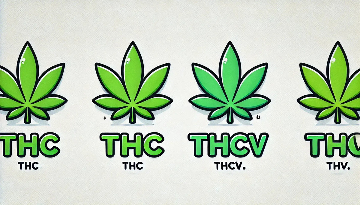 Nápis „THC vs THCV“ s listami kanabisu v komiksovom štýle.