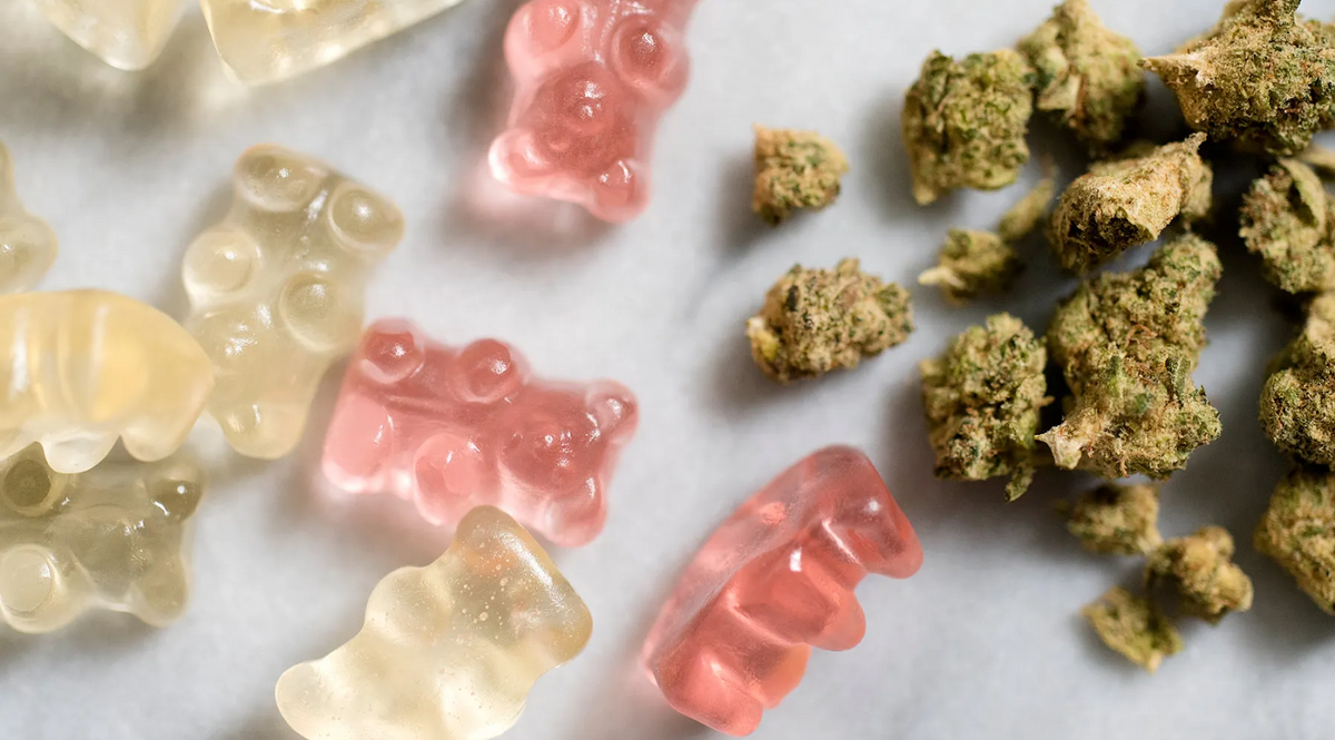 Priehľadné a ružové gumové medvedíky vedľa cannabisových pukov na bielom povrchu