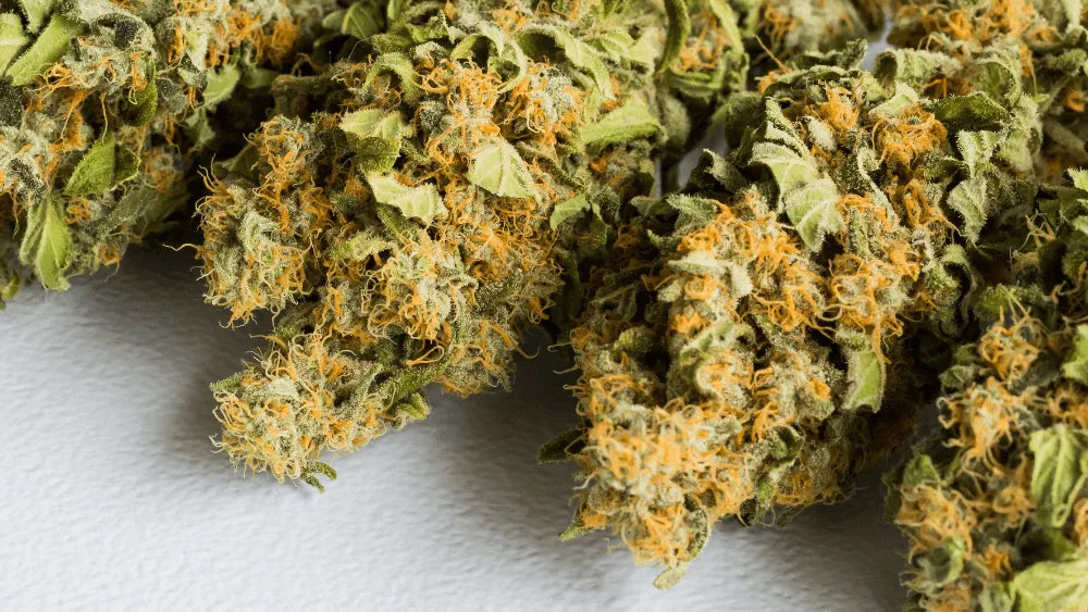 HHC PO – budúcnosť cannabisových inovácií