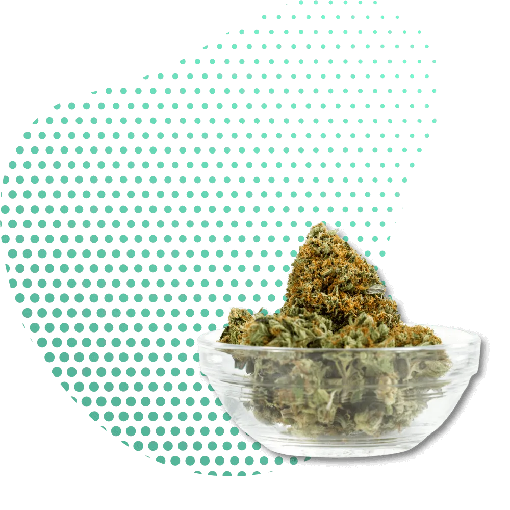 9H-THC produkty