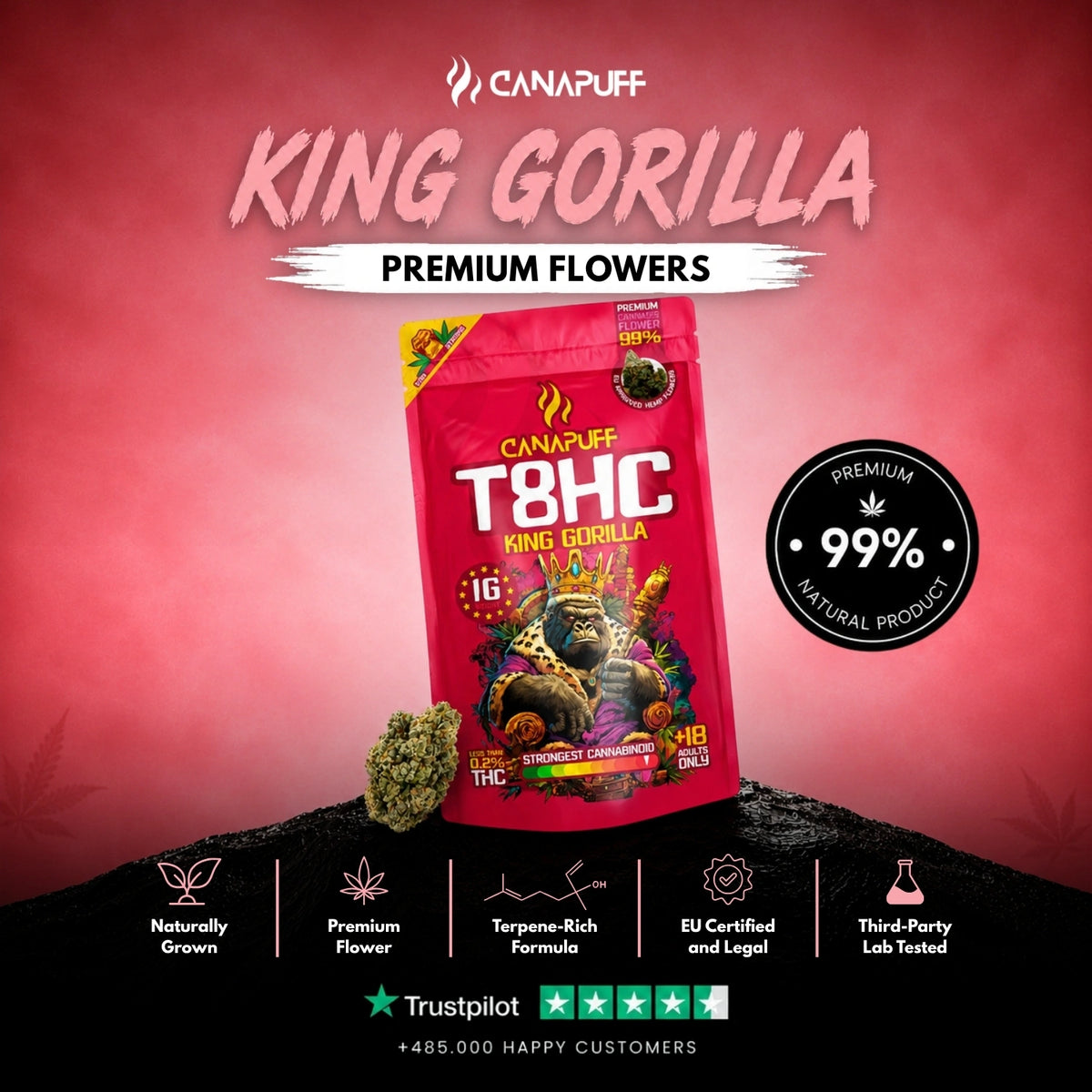 T8HC Kvety King Gorilla 99% – kvety, foto 2