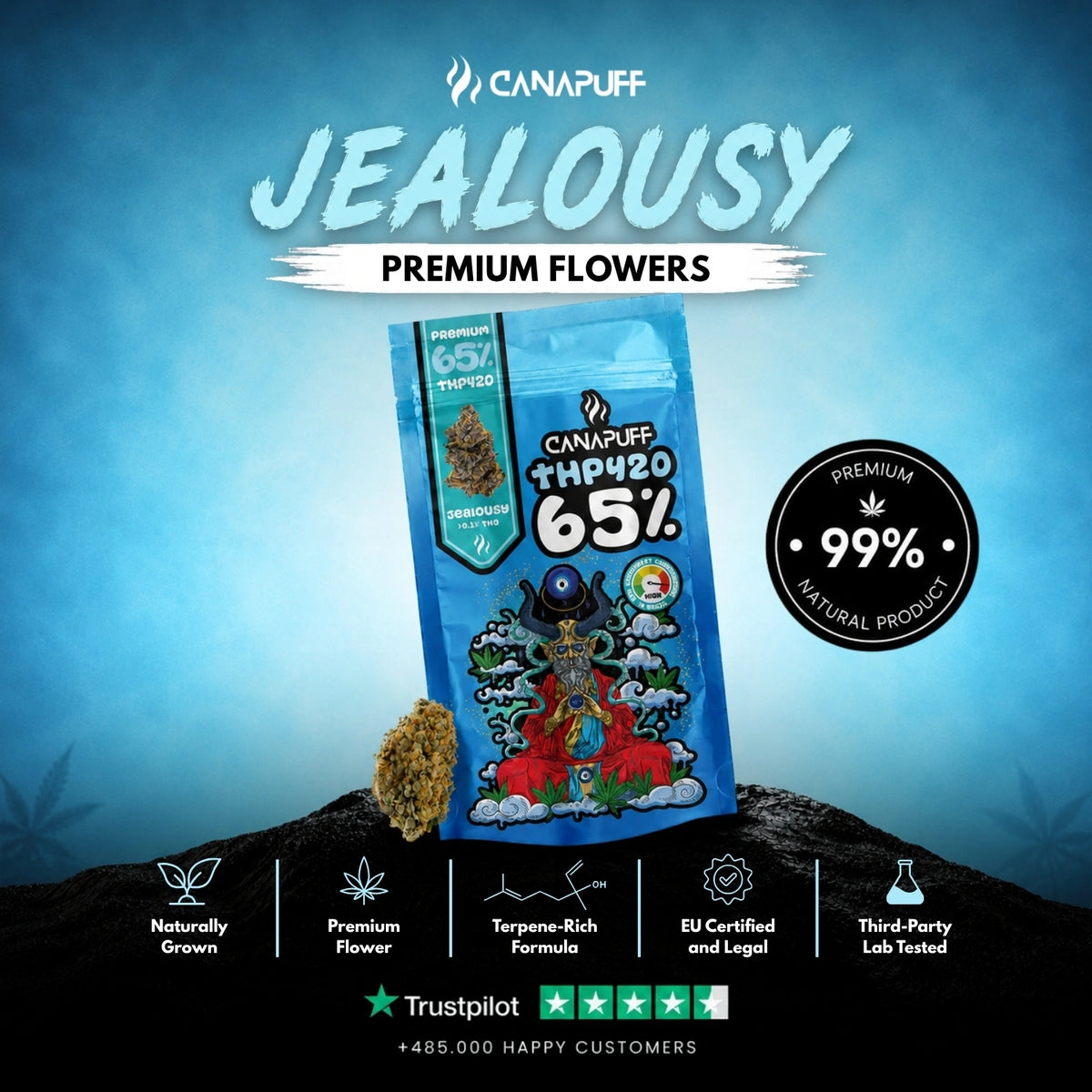 THP420 kvety Jealousy 65% – kvetné buds, foto 2