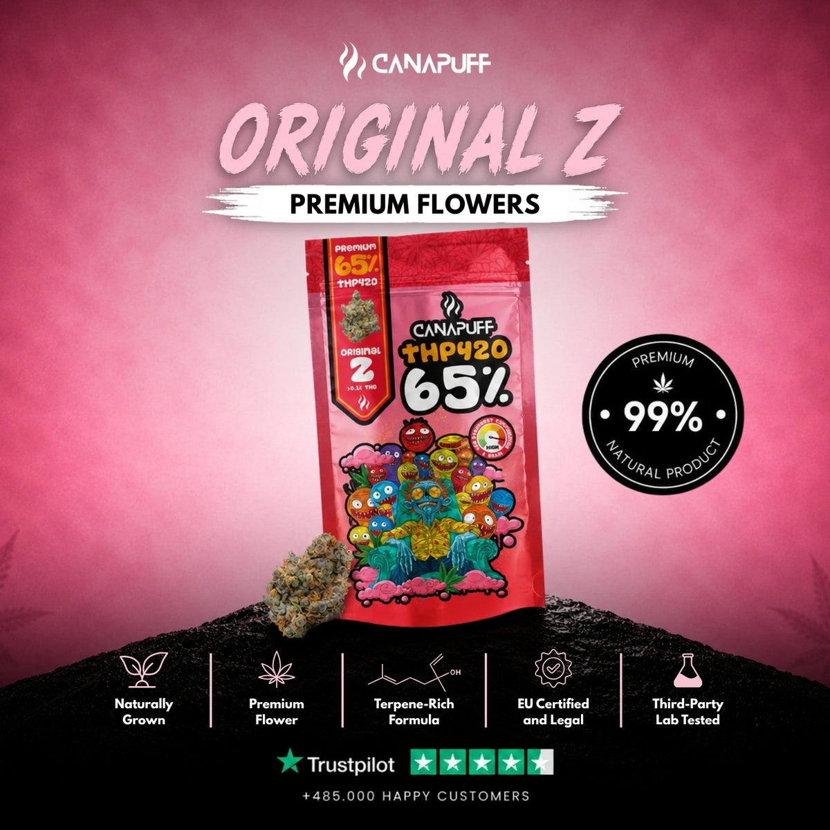 THP420 kvety Original Z 65% – kvety, fotka 2