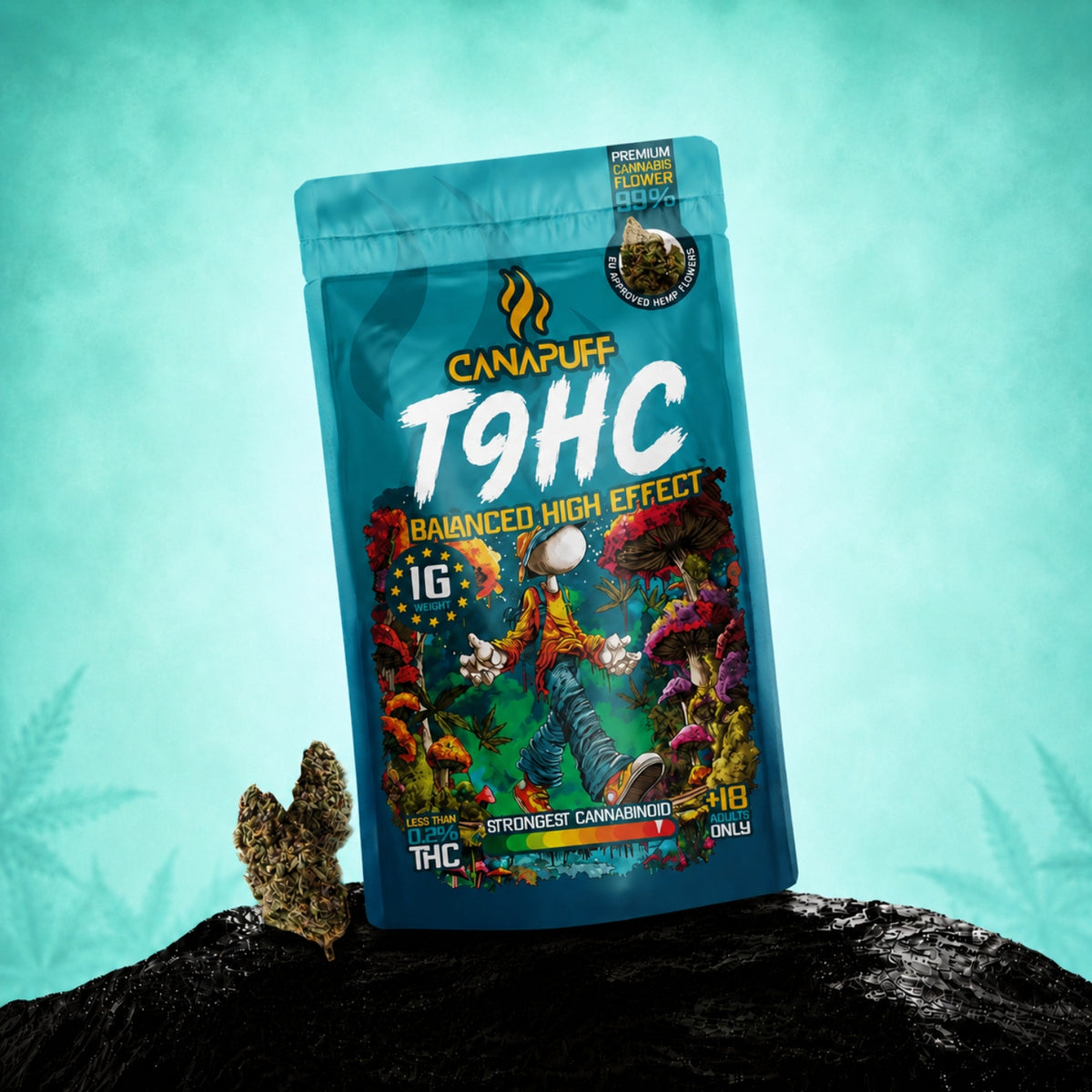Canapuff TⳊHC kvety Balanced High Effect, vrecko 1 g