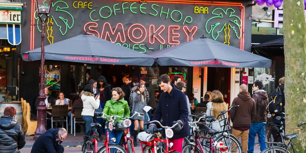 Najlepšie coffeeshopy v Amsterdame 2024: top miesta pre cannabis-Canapuff
