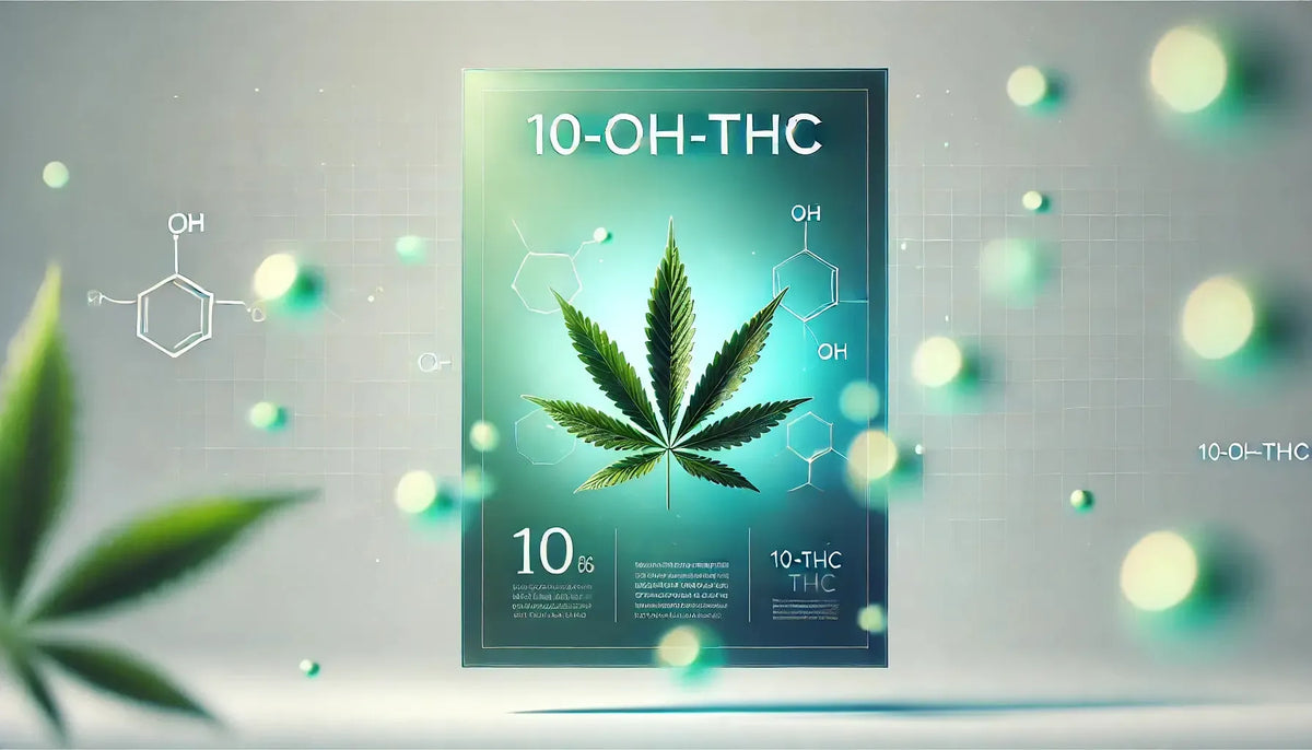 Objavujeme 10-OH-THC: miernejší metabolit s veľkým potenciálom-Canapuff