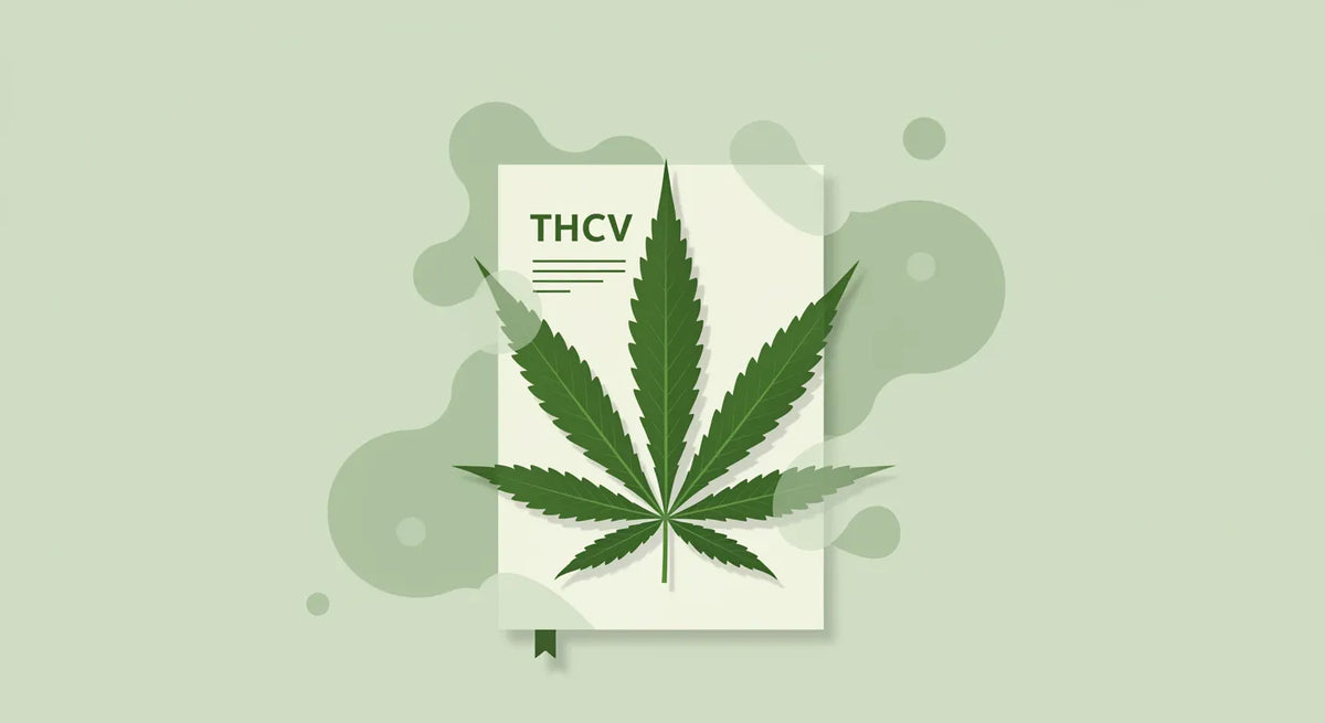 Kompletný sprievodca účinkami THCv-Canapuff