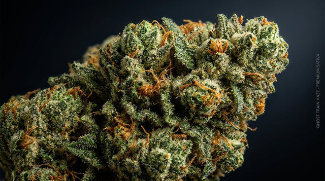 Sprievodca strainom Ghost Train Haze — sativa kvet kanabisu, terpény a účinky