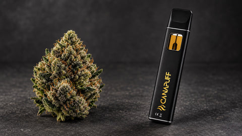 THCA kvety vs THCA vape: Ktorý formát je pre teba ten pravý?