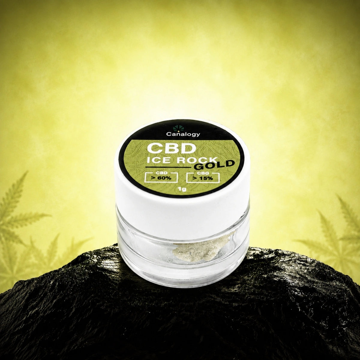 CBD IceRock Gold 60% CBD, 15% CBG – IceRock koncentrát