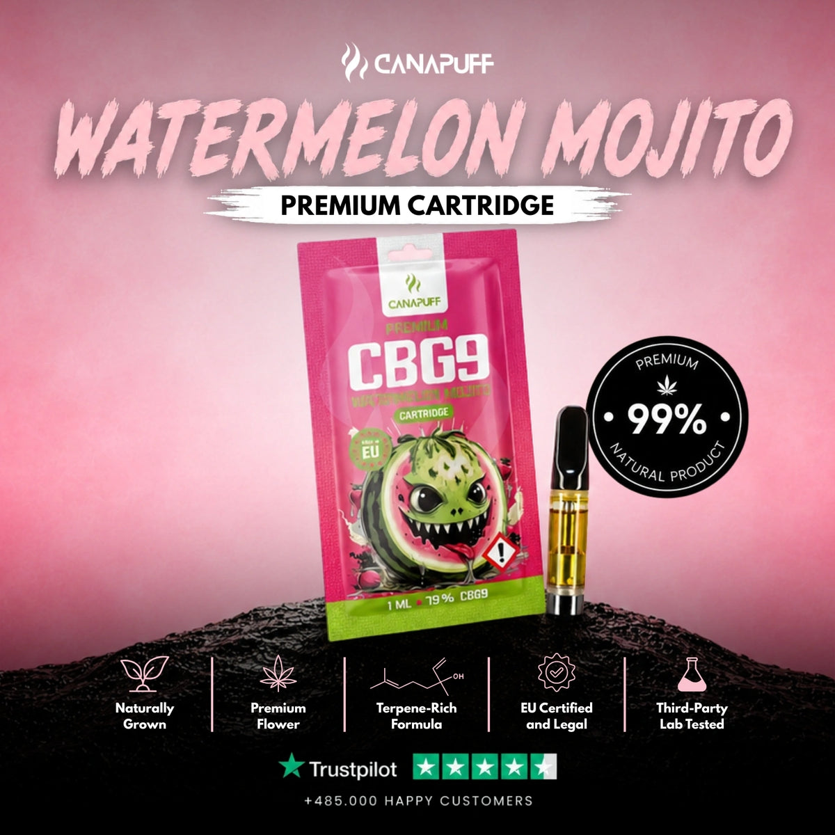 CBG9 Kazeta Watermelon Mojito 79% – vape kazeta, foto 2