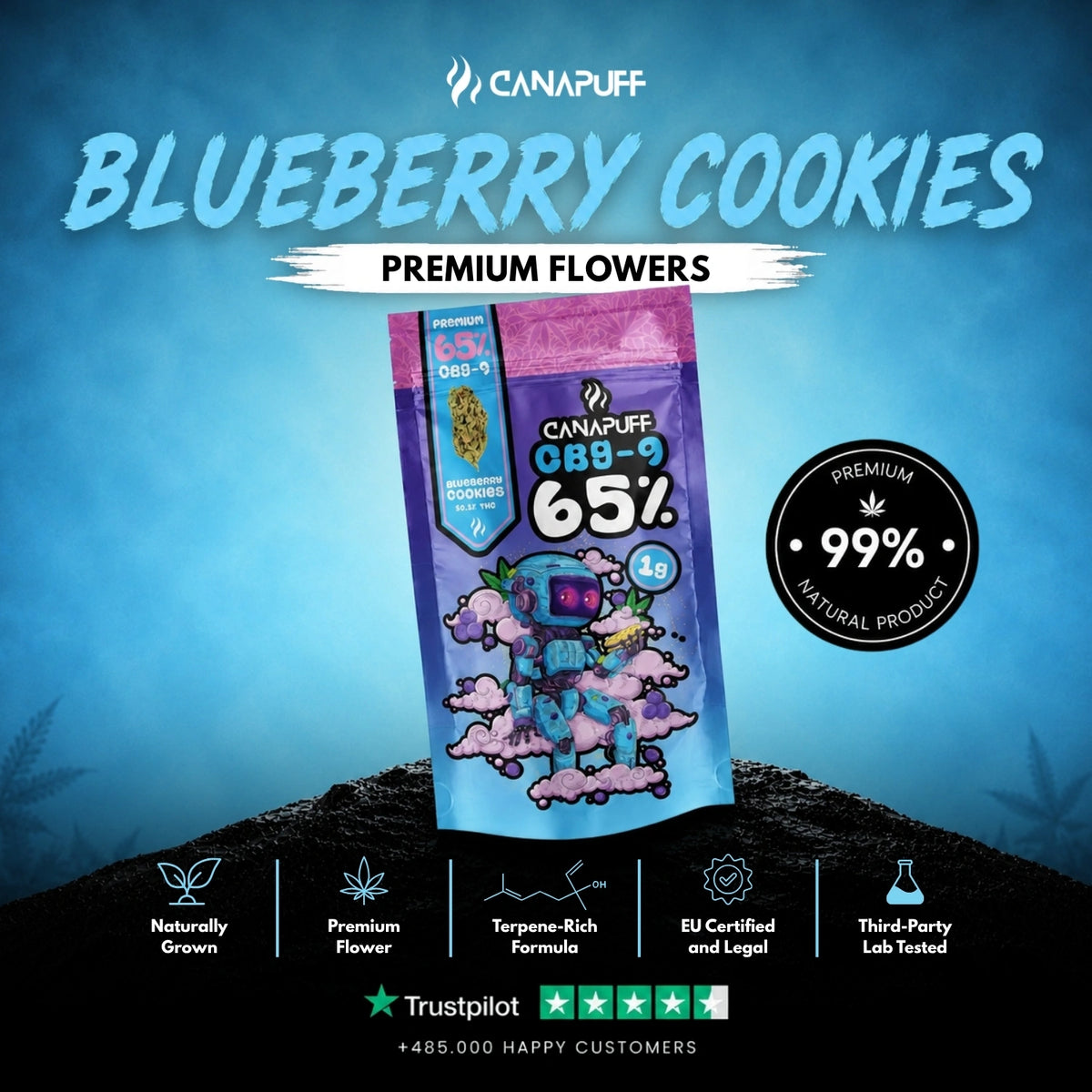 CBG9 Kvety Blueberry Cookie 65% – kvetové palice, foto 2
