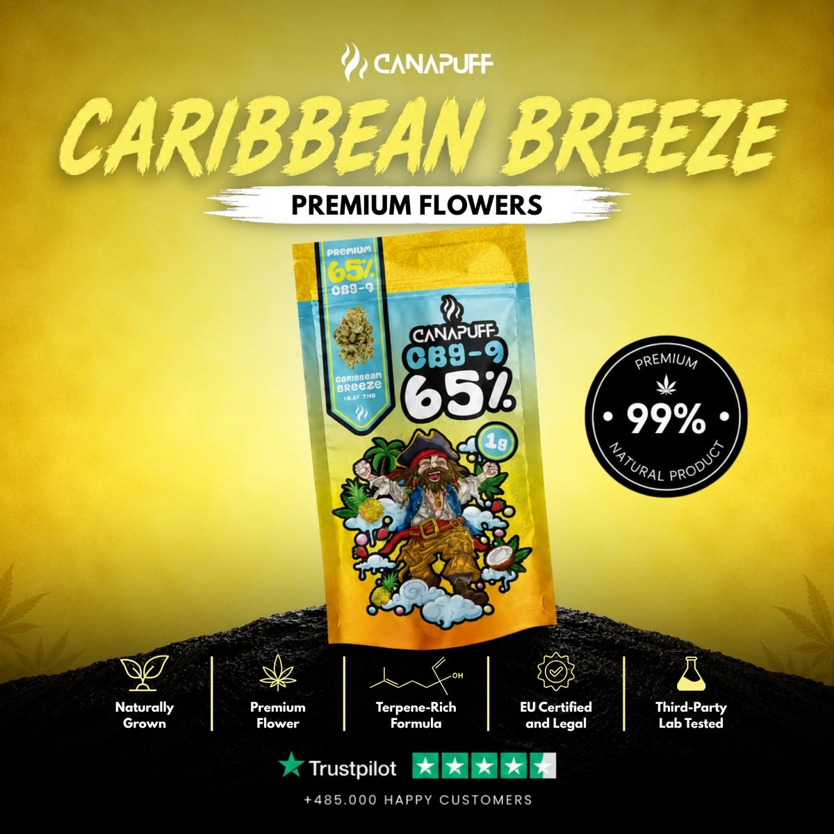 CBG9 kvety Caribbean Breeze 65% – kvety, fotka 2