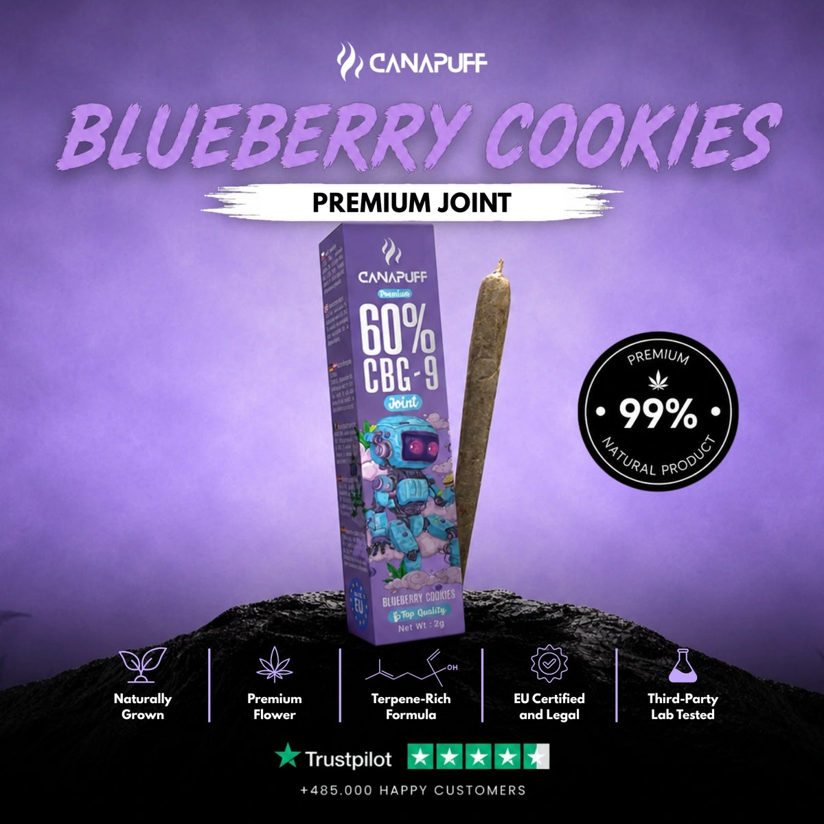 CBG9 Joint Blueberry Cookies 60% 2g – predrolovaný joint, foto 2