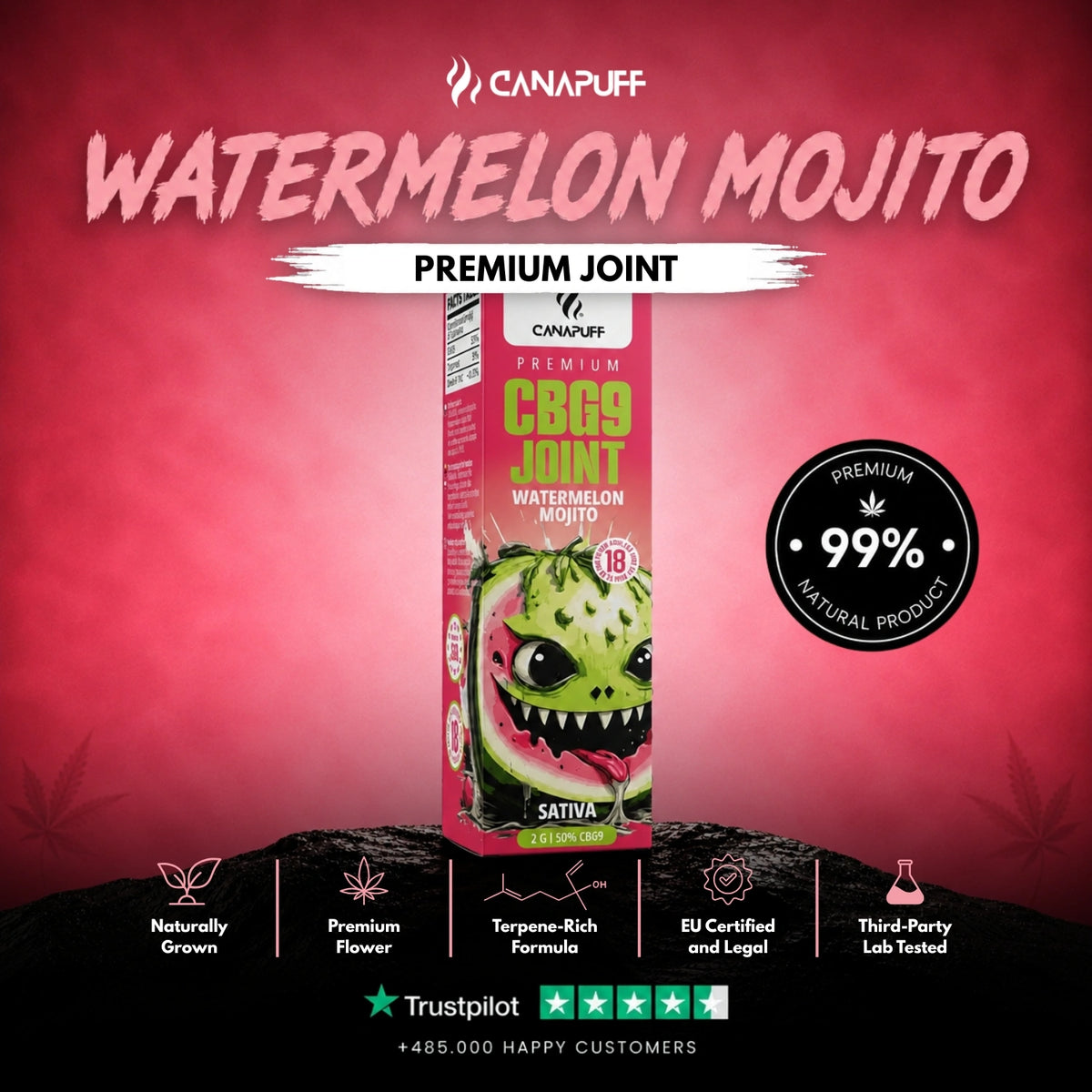 CBG9 Joint Watermelon Mojito 50% 2g – predbalený joint, foto 2