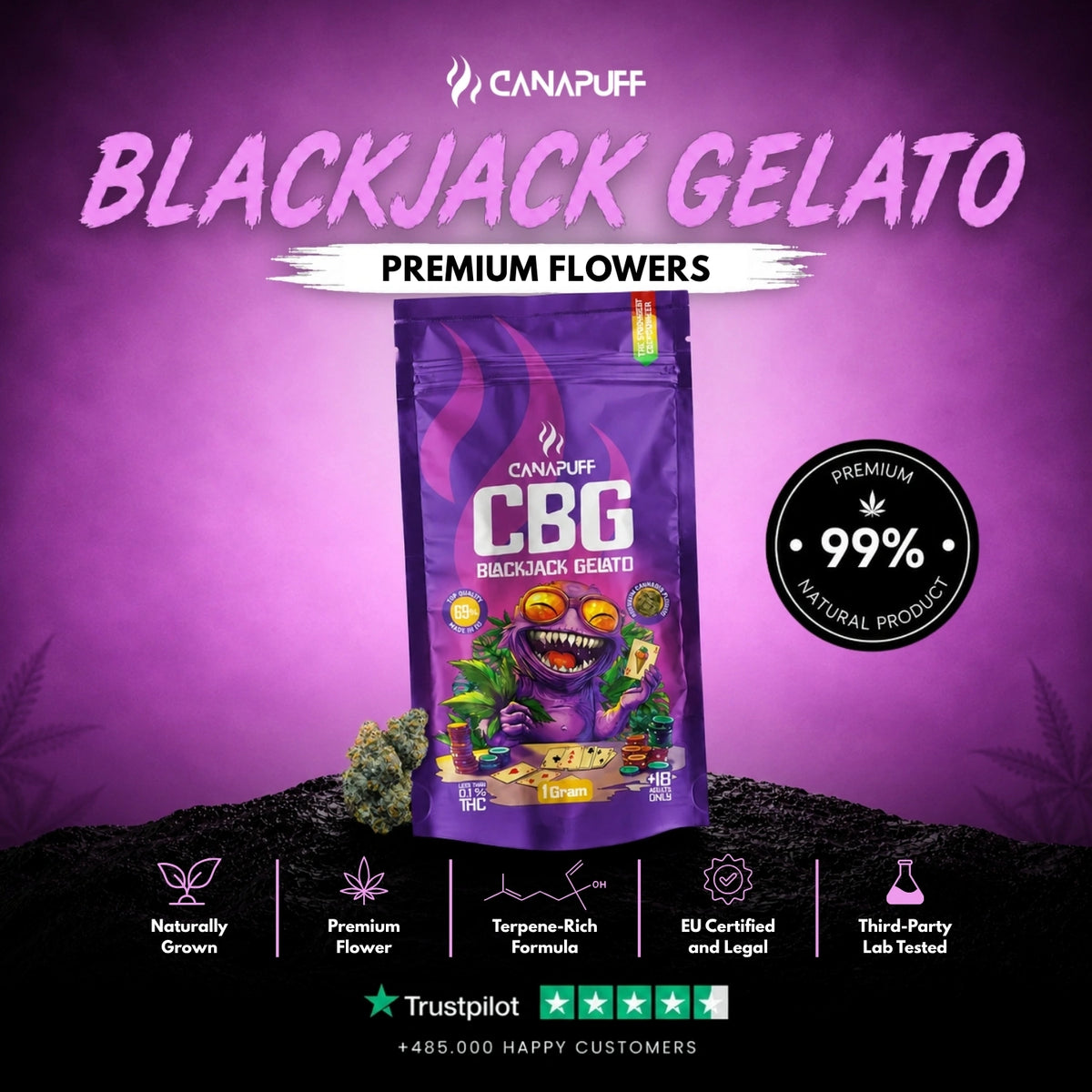 CBG Kvety Blackjack Gelato 69% – kvetné búdy, foto 2