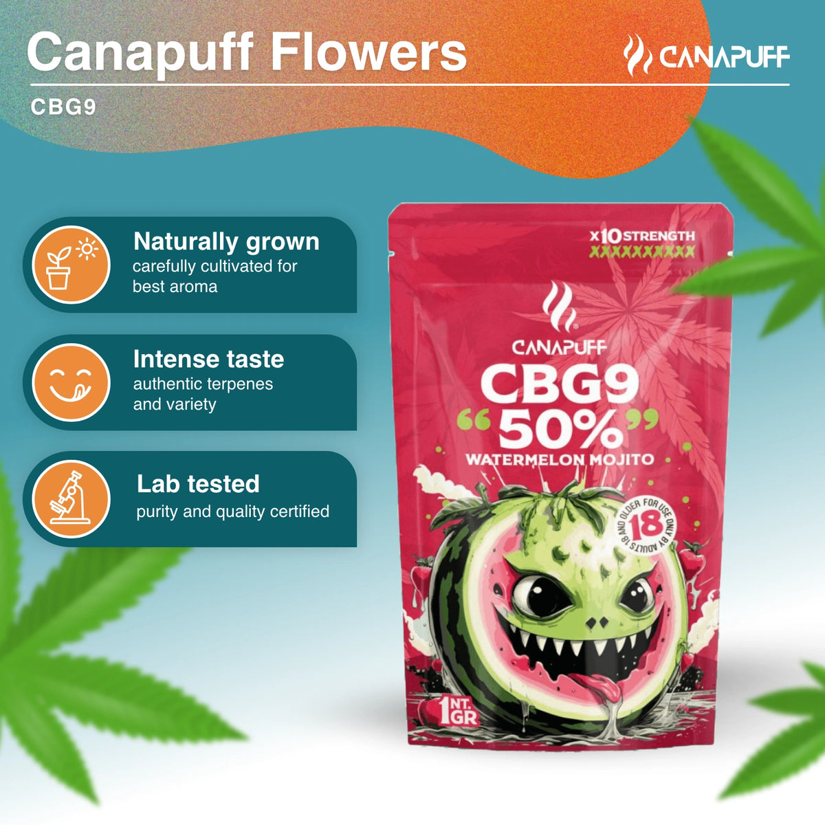 Canapuff CBG9 kvety, Watermelon Mojito, 50%, 1 gramové vrecúško