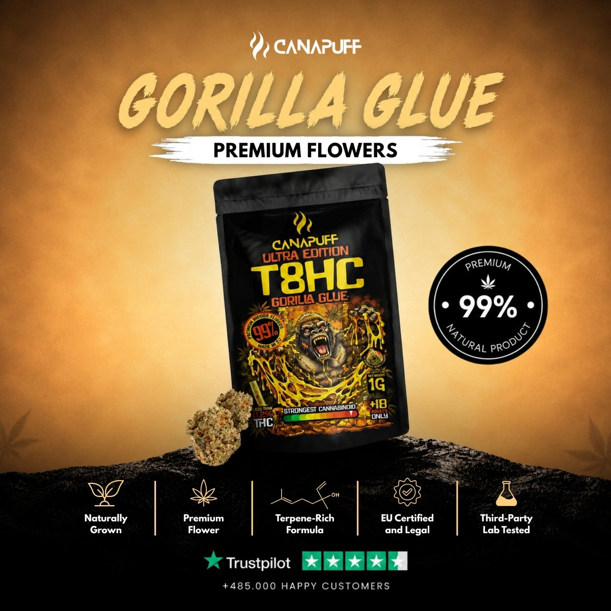 T8HC Kvety Gorilla Glue 99% – kvety, foto 2