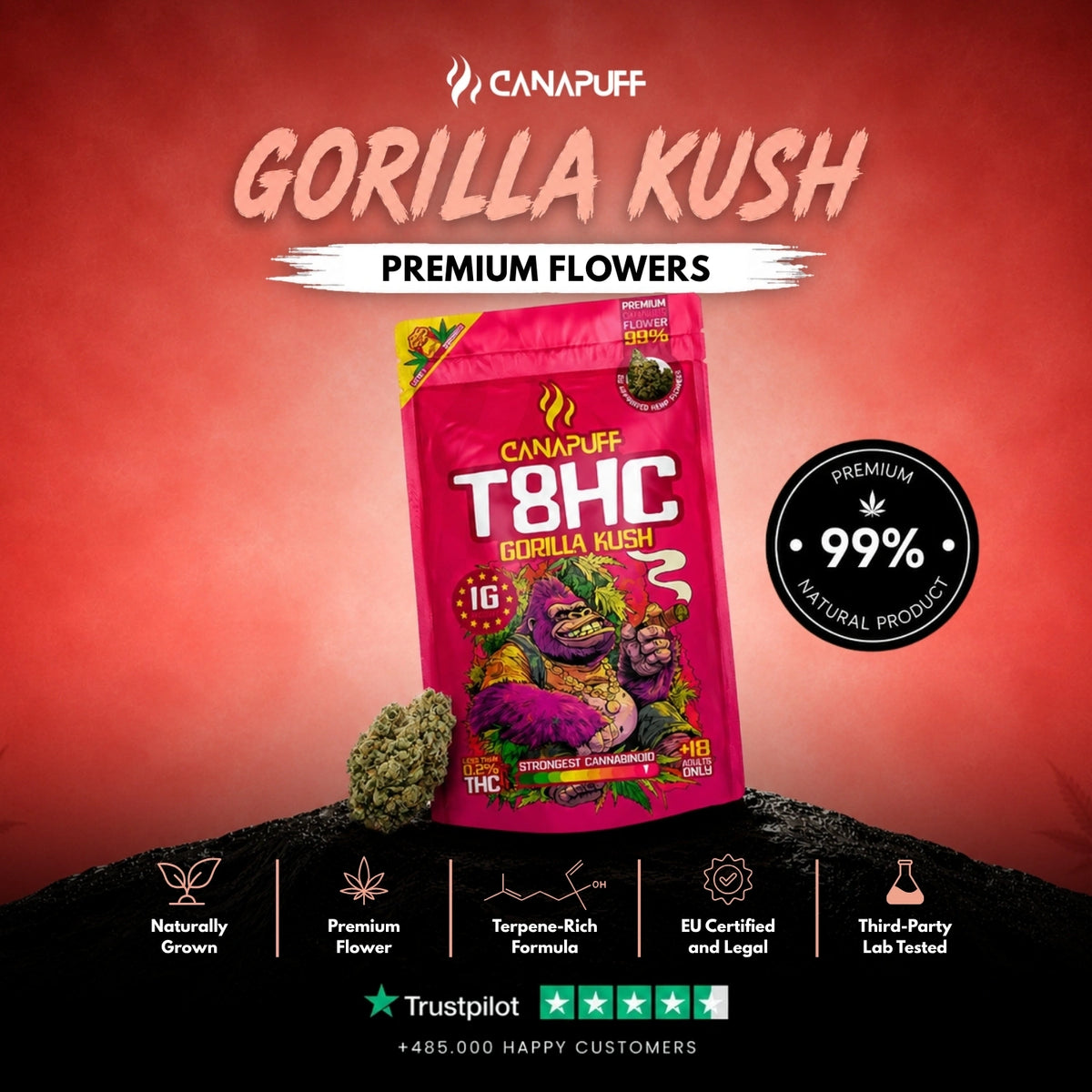 T8HC Kvety Gorilla Kush 99% – kvetné puky, fotka 2