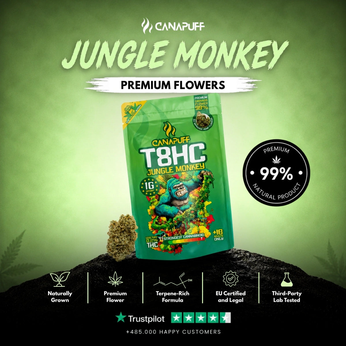 T8HC kvety Jungle Monkey 99% – kvety, fotka 2