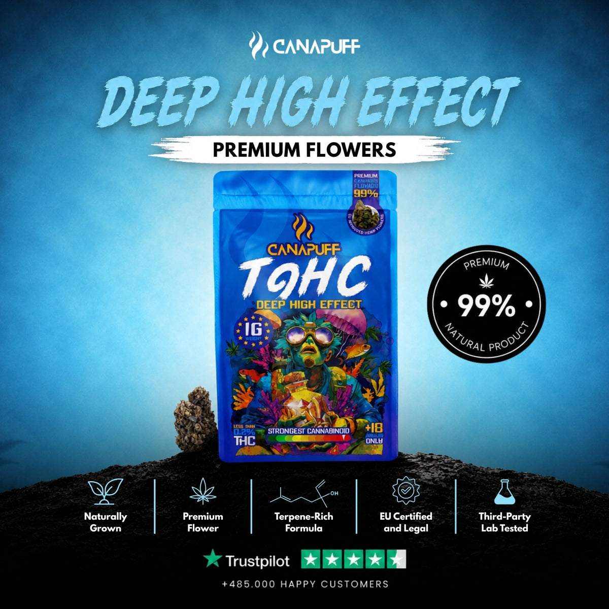 TⳊHC kvety Deep 99% – kvetné buds, foto 2