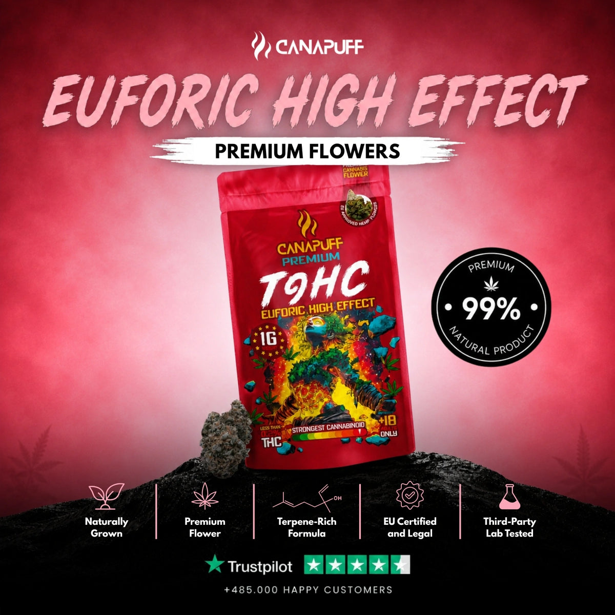 TⳊHC Kvety Euforic 99% – kvetné búdy, foto 2