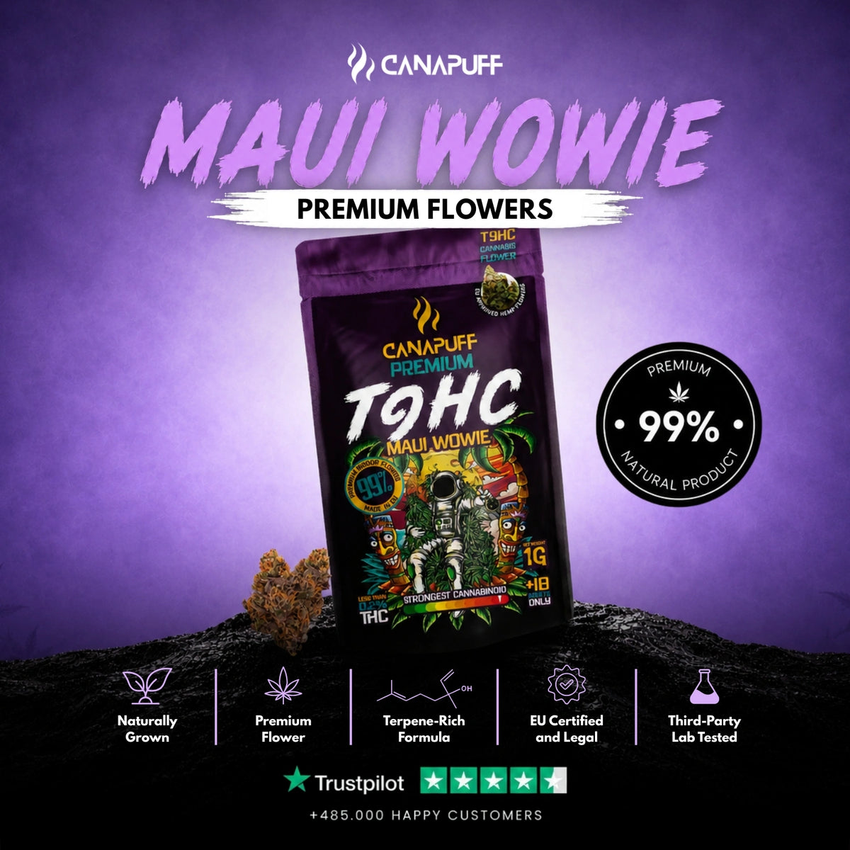 TⳊHC Kvety Maui Wowie 99% – kvetné puky, fotka 2