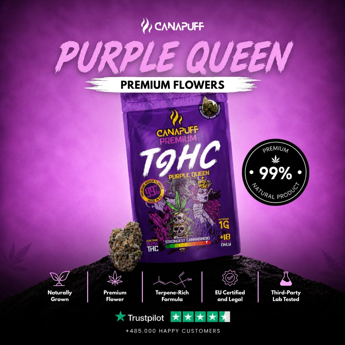 TⳊHC Kvety Purple Queen 99% – kvety, foto 2