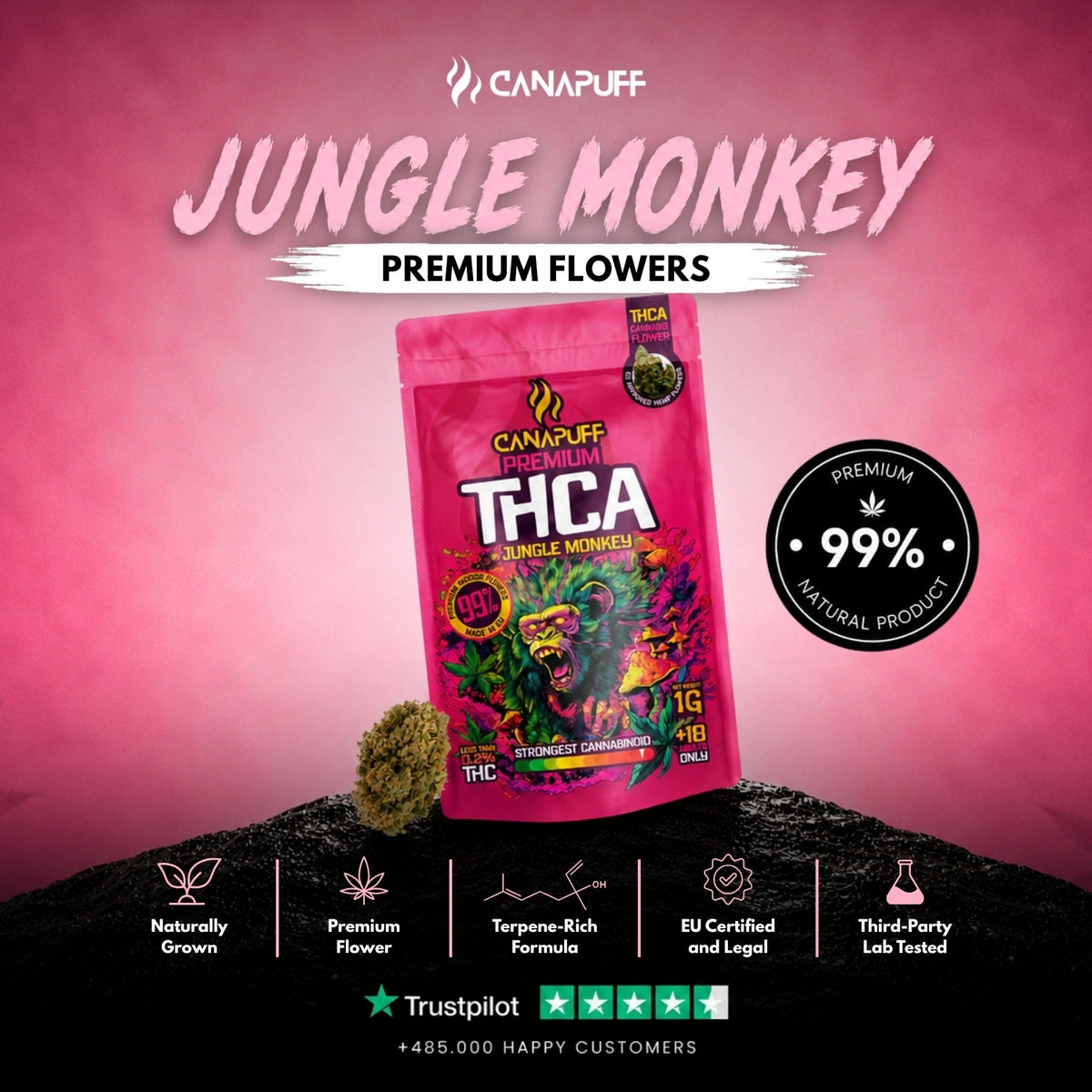THCA Kvety Jungle Monkey 99% – kvety, foto 2