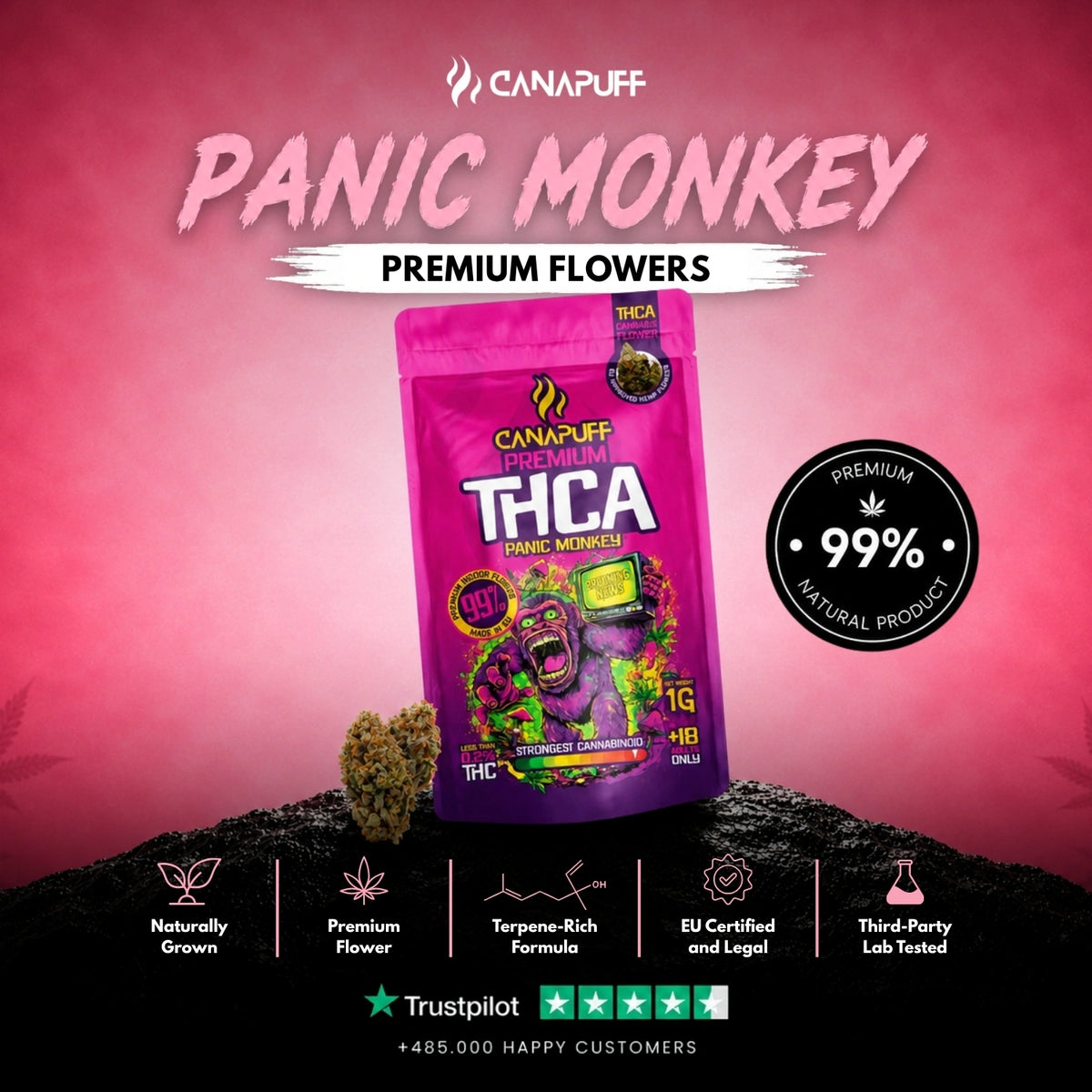 THCA Kvety Panic Monkey 99% – kvety, foto 2