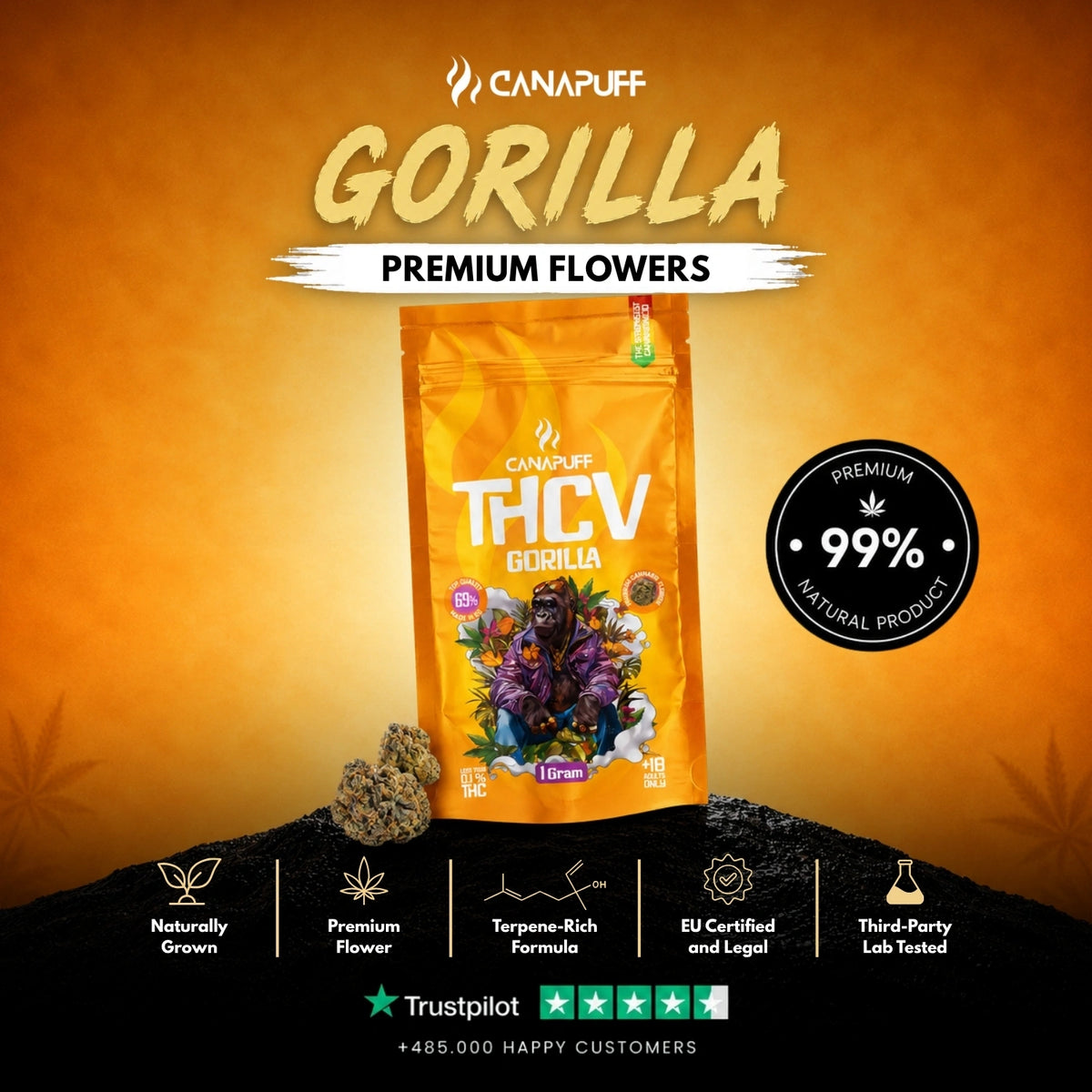 THCv Kvety Gorilla 69% – kvety, foto 2