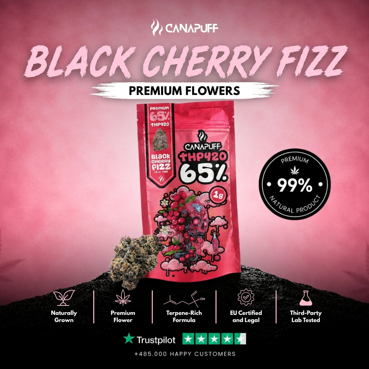 THP420 kvety Black Cherry Fizz 65% – kvety, fotka 2
