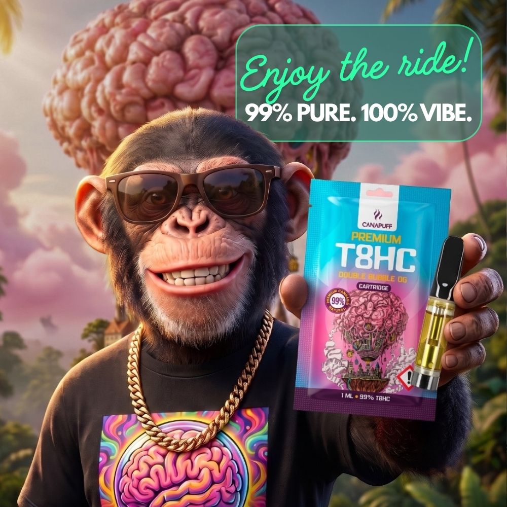 Vapes, kvety, edibles.<br>Tvoj <em>VIBE</em> je tu niekde.<br>
